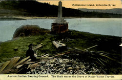 Memaloose Island, Columbia River Postcard