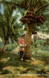 Stock #75477 Thumbnail