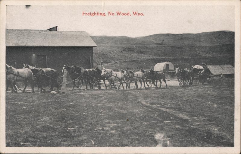 Freighting, No Wood, Wyo. Wyoming