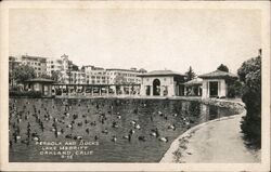 Pergola and Ducks, Lake Merritt Postcard