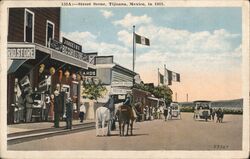 Street Scene, Tijuana, Mexico Postcard