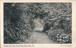 Green Tunnel Bear Valley Postcard