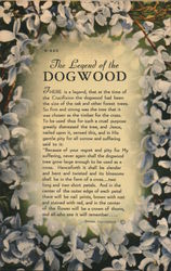 The Legend of the Dogwood Religious Postcard Postcard Postcard