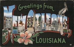 Greetings from New Orleans Postcard