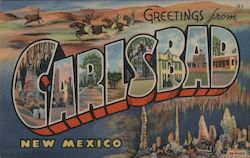 Greetings from Carlsbad New Mexico Postcard Postcard Postcard