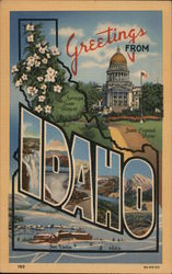 Greetings from Idaho Postcard