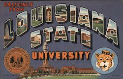 Greetings from Louisiana State University Postcard