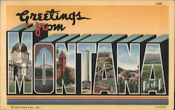 Greetings from Montana Postcard