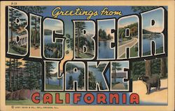 Greetings from Big Bear Lake Postcard