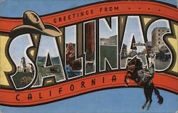 Greetings from Salinas Postcard