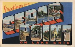 Greetings from Cedar Point on Lake Erie Ohio Postcard Postcard Postcard