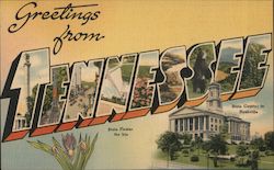 Greetings from Tennessee Postcard