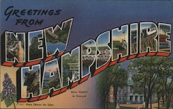 Greetings from New Hampshire Postcard