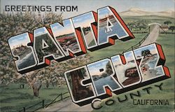 Greetings from Santa Cruz County California Postcard Postcard Postcard