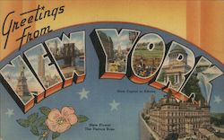Greetings from New York Postcard