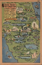 Greetings from Florida Postcard