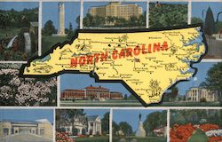 Greetings from North Carolina Postcard