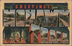 Greetings from The Mohawk Trail Large Letter Postcard Postcard Postcard