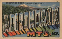 Greetings from Adirondack Mountains Postcard