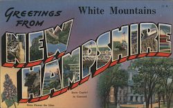 Greetings from The White Mountains Postcard