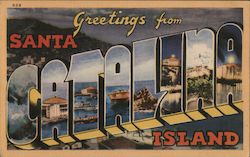 Greetings from Santa Catalina Island California Postcard Postcard Postcard