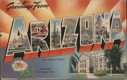 Greetings from Arizona Postcard