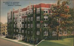 University of Tennessee School of Medicine Postcard