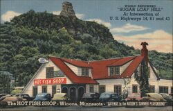 Sugar Loaf Hill Winona Minnesota Postcard