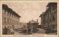 Agricultural Quadrangle State College Postcard