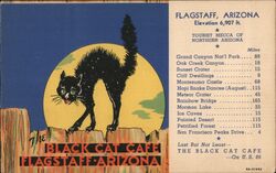 Black Cat Cafe Postcard
