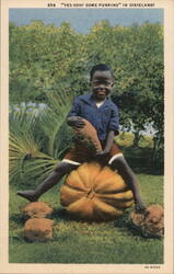 Yes-Suh! Some Punkins Postcard