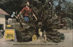 Entrance to Trees of Mystery, Redwood Mystery, CA Postcard