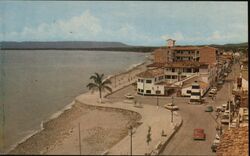 Vista del Malecon Puerto Vallarta Postcard