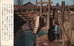 Japanese Village and Deer Park Postcard