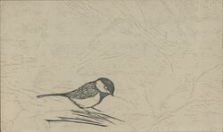 Original Block-Print Bird by Gwen Frostic Postcard