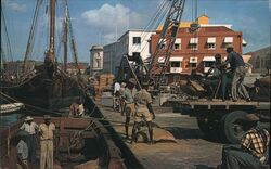 Loading Cane Sugar for Export, Bridgetown, Barbados Postcard