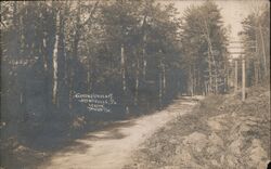 Arrows Drive, Arendtsville, PA Postcard