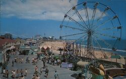Santa Cruz Beach Postcard