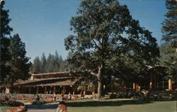 San Moritz Club Postcard