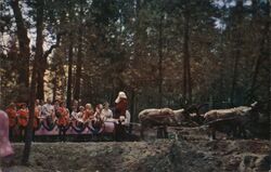 Santa's Village Skyforest CA Postcard