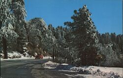 Winter Road to Lake Arrowhead, San Bernardino Mountains Postcard