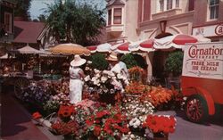 Disneyland Flower Mart Main Street U.S.A. Postcard