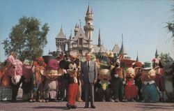 Disneyland's Magic Kingdom Postcard
