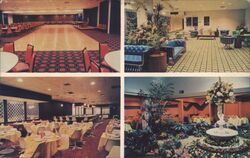 Williamson Restaurant, Ft. Lauderdale, Florida Postcard