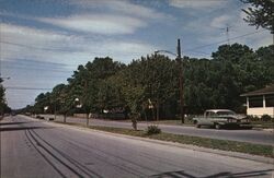 Looking North on Bayard Avenue Postcard