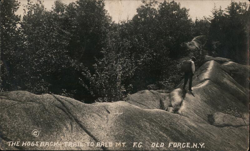 The Hogs Back Trail to Bald Mountain Old Forge New York