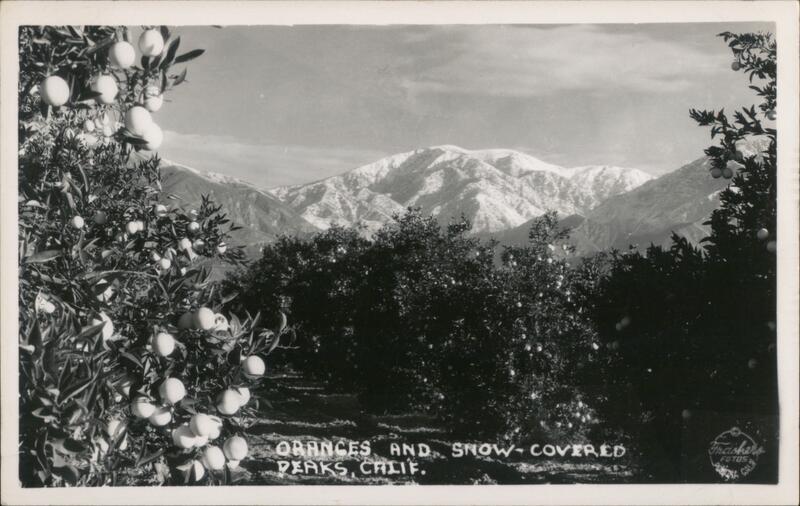 Oranges and Snow-Covered Peaks California