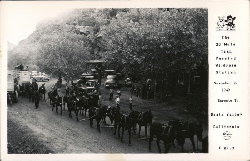The 20 Mule Team Passing Wildrose Station Death Valley California