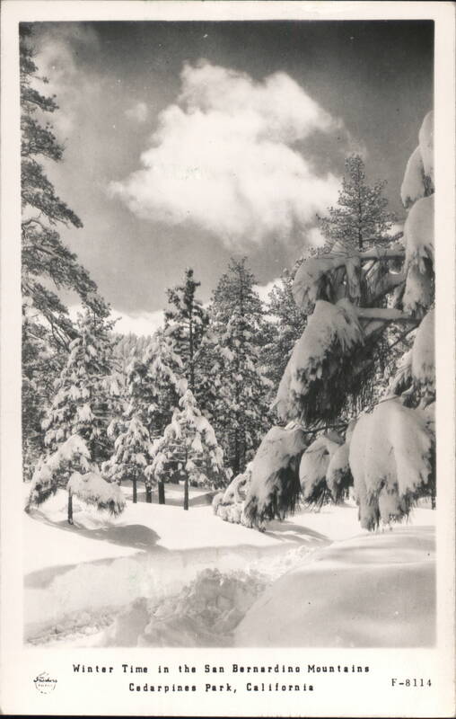 Winter Time in San Bernardino Mountains Cedarpines Park California