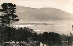 Panoramic view of lake Postcard